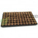 Speedgrow plugs round 38 x 35mm Box (11 trays 84 pcs)