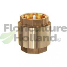 Brass check valve