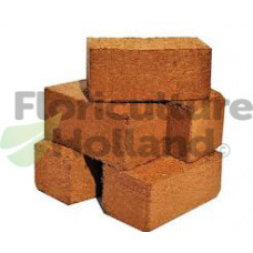 Coir bricks x24