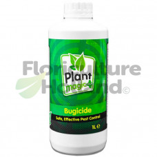 1L Bugicide