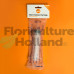 100ml Nutrient Measuring Syringe (12pcs)