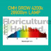 Streetlight CMH 315W Bulb 4200K (grow)