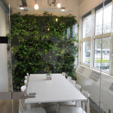 Loving walls | vertical garden | green wall | Living wall | 248 x 206 cm | 6x4