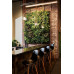 Loving walls | verical garden | green wall | Living wall | 127 x 109 cm | 3x2
