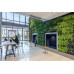 Loving walls | vertical garden | green wall | Living wall | 248 x 206 cm | 6x4