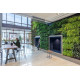 Living walls - Vertical garden