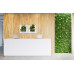 LivePicture Go (white) | Plant Painting  | Living art | Living wall | 52 x 52 x 11 cm | small