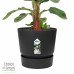 Bananenplant in Elho® Greenville pot