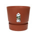 Polyscias Fabian in Elho® Greenville pot