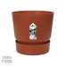 Polyscias Fabian in Elho® Greenville pot