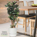 Polyscias Fabian in Elho® Greenville pot