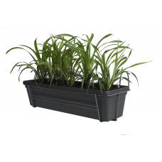 Leliegras in ELHO ® Green Basics balkonbak (Living Black) met metalen balkonrek