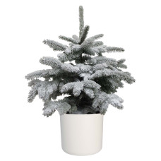 Picea sneeuw in ELHO b.for soft rond sierpot (wit)
