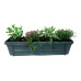 Mix van kruiden in ELHO ® Green Basics balkonbak (Bladgroen) met metalen balkonrek