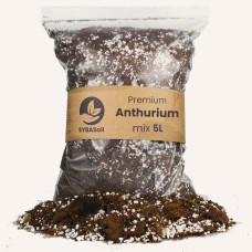 Anthurium mix 5L